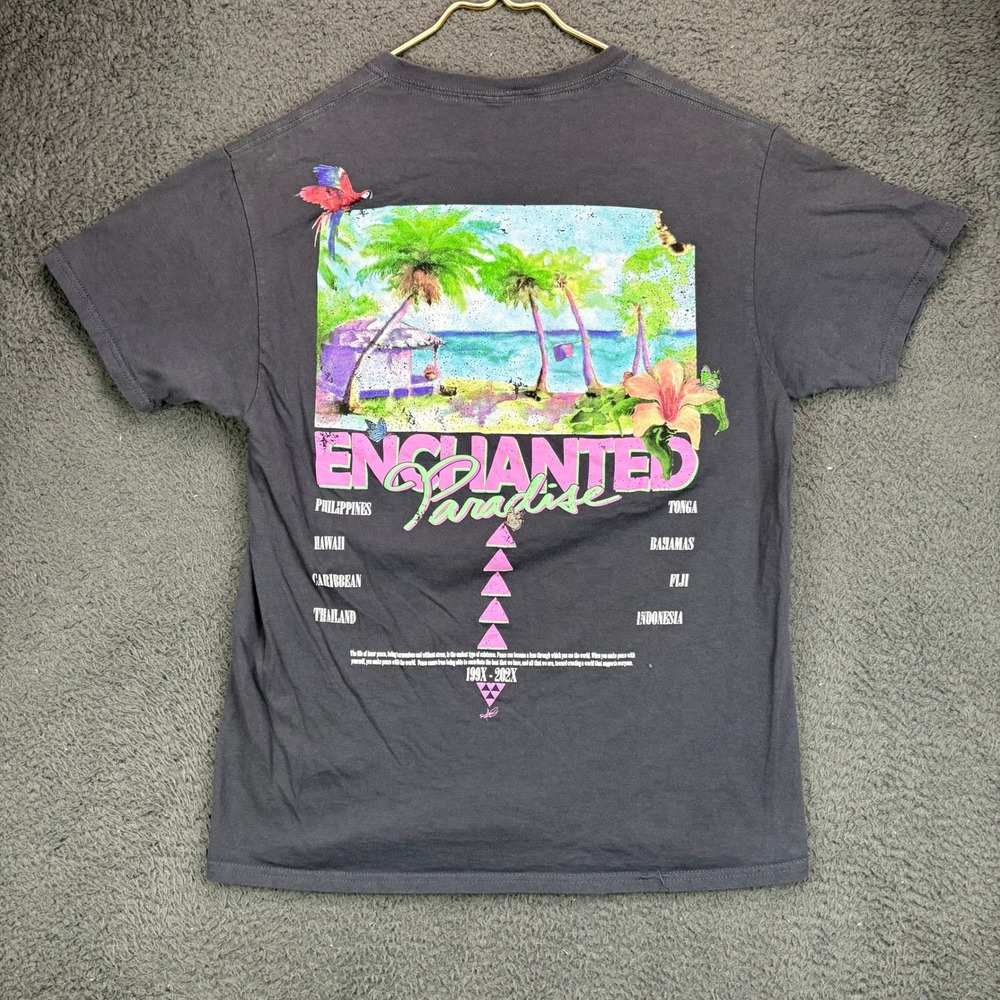 PacSun Mens Enchanted Paradise Graphic T-Shirt Charcoal Gray Medium M